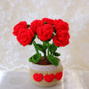 Cozy Crochet Flower Pot