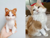 CozyCrochet - Pet Custom Crochet Doll